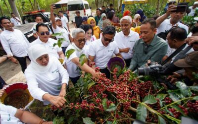 Pastikan Standarisasi Produksi, Wakil Menteri BUMN dan Gubernur Jawa Timur Kunjungi Panen Raya Kopi Arabika Ijen di Kebun PTPN Group