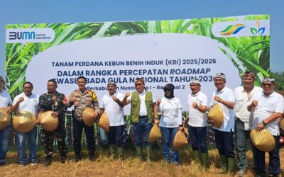 Akselerasi Swasembada Gula, PTPN Group Alihfungsikan Lahan Karet Tidak Produktif Menjadi Tanaman Tebu