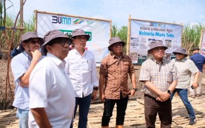 Akselerasi Roadmap Swasembada Gula Nasional, Dua Anak Usaha Holding Perkebunan Nusantara Lakukan Kick Off KSO