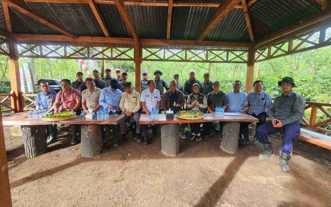 Java Coffee Estate Perkuat Standar Keberlanjutan, Ekspor  Kopi Premium Indonesia Kian Meningkat